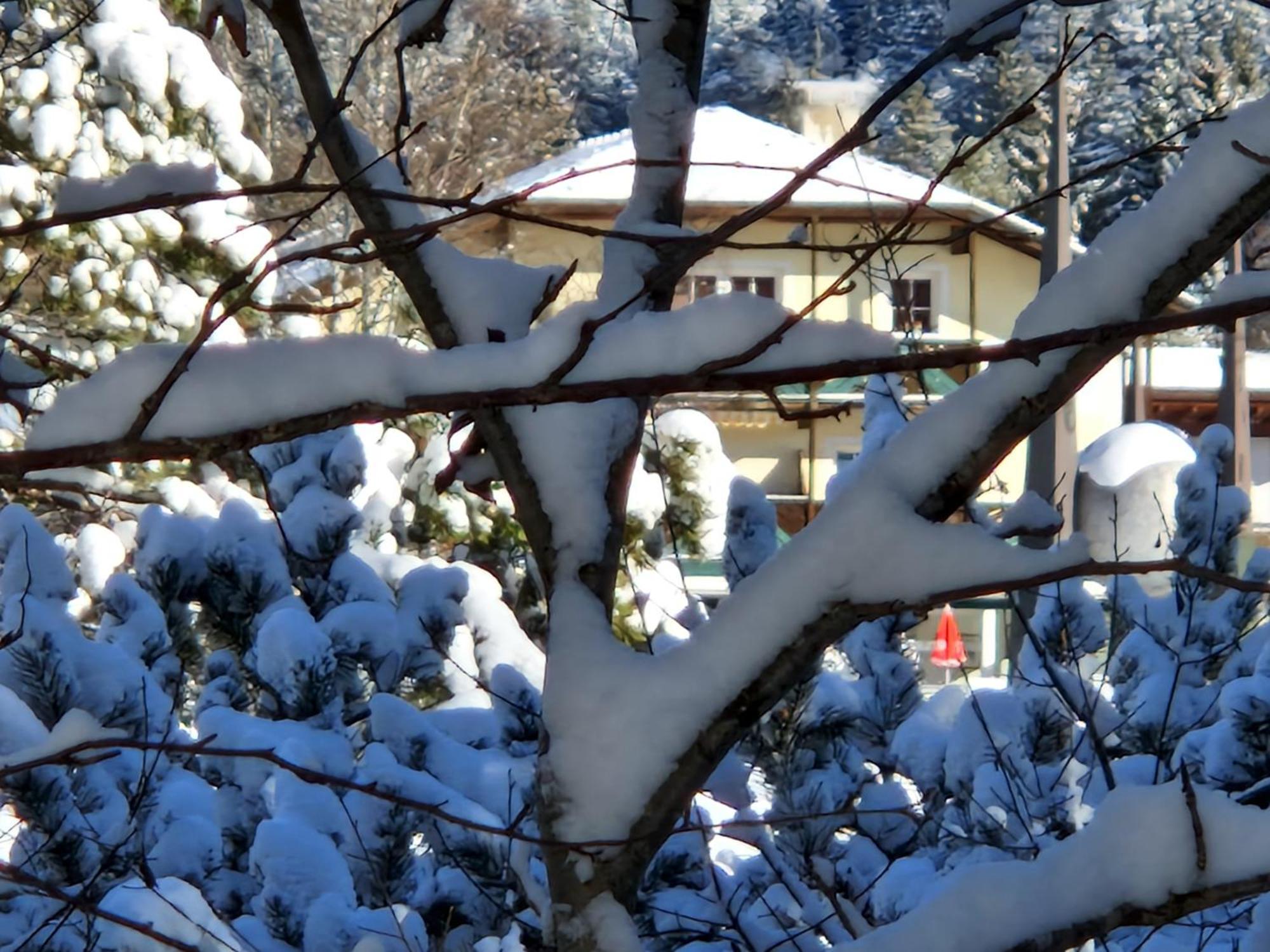 Appartement Bergsee Sun - Am Wildsee - Atemberaubende Aussicht Seefeld in Tirol Dış mekan fotoğraf
